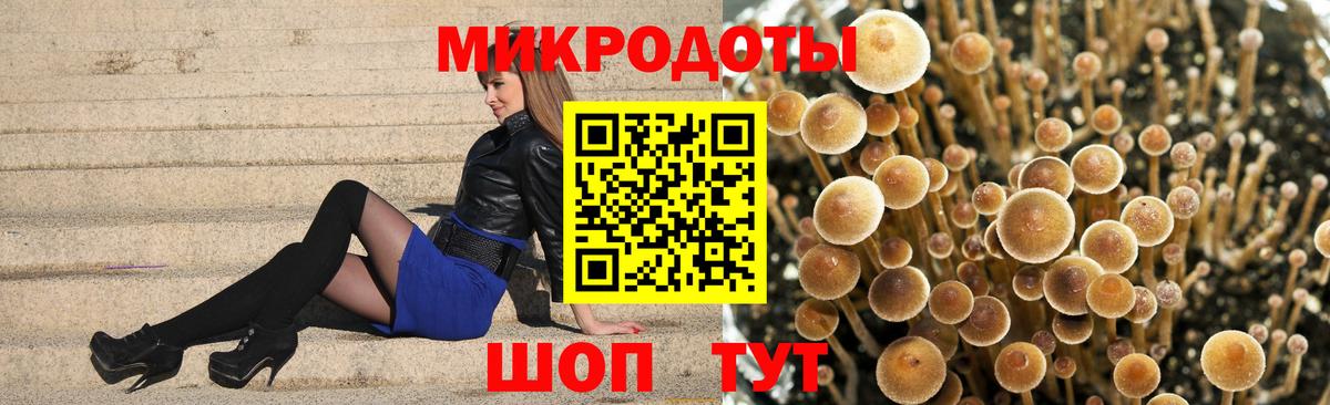 Всеволожск  Галлюциногенные грибы Magic Shrooms  хочу   Вход с VPN 